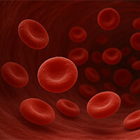 Hématologie